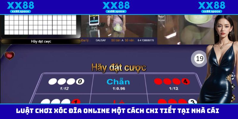 Luật chơi xóc đĩa Online một cách chi tiết tại nhà cái
